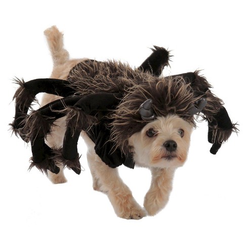 Tarantula Dog And Cat Costume S Target