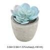 Unique Bargains Artificial Plants Mini Frost Lotus in Pulp Plastic 2.76"x2.76"x2.95" 1Pcs - 3 of 4