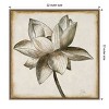 Amanti Art Sepia Lotus Blossom I by Patricia Pinto Canvas Wall Art Print Framed 22 x 22-in. - 4 of 4