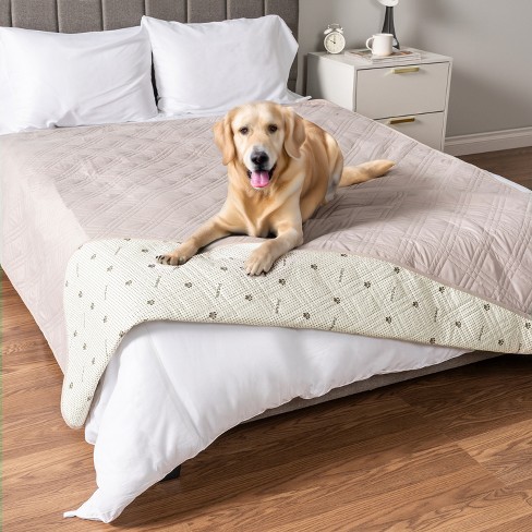 Dog bed covers target best sale