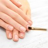 Unique Bargains Large Flat Mouth Nail Painting Brushes for Home DIY Gold Tone Clear White 1 Pc - 2 of 4