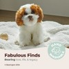 Bearington Bearington Collection Bentley The Shih Tzu Stuffed Animal, 13 Inches Stuffed Dog - 2 of 4