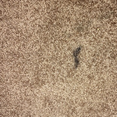 Guest review image 1 of 2, zoom in
