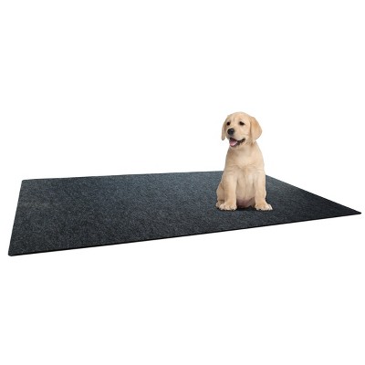 training mat dog