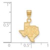Black Bow Jewelry 10k Yellow Gold Texas A&M Aggies NCAA Small Pendant - 2 of 3