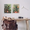 Stupell Industries Various House Plants, 16" x 20" - 2 of 4