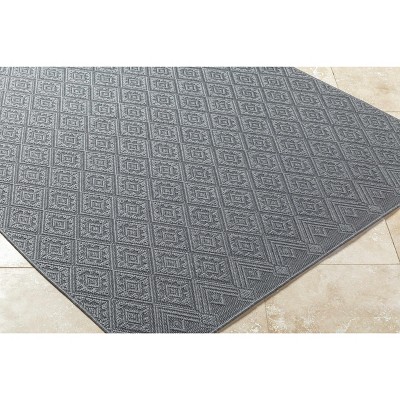 Hauteloom Bandit Gray Area Rug