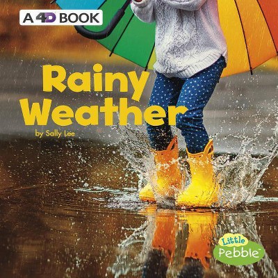 Rainy Weather - (All Kinds of Weather) by  Sally Lee (Paperback)