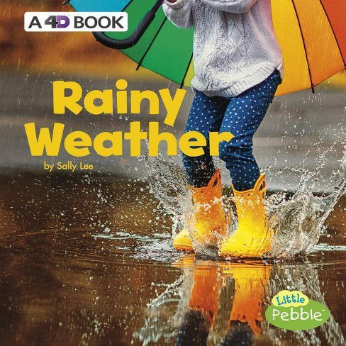 Rainy Weather - (all Kinds Of Weather) By Sally Lee (paperback) : Target