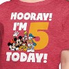 Girls' - Disney - Hooray I'm 5 Today Short Sleeve Graphic T-Shirt - 2 of 4