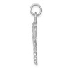 Black Bow Jewelry 14k White Gold Nurses Cap and Caduceus Pendant - 2 of 4