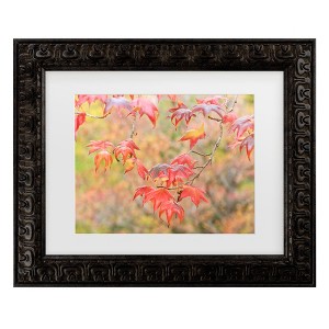 Trademark Fine Art - Beata Czyzowska Young Falltime In My Garden Matted Framed Art - 1 of 4