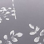 grey-flowers