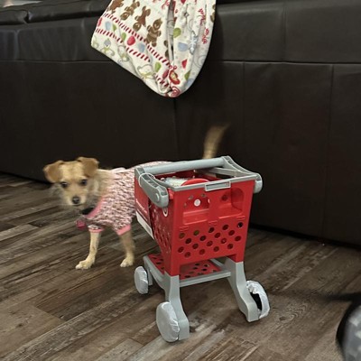 Target Toy Shopping Cart IN HAND READY TO 2024 SHIP!