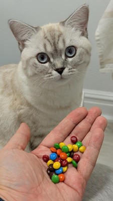 Guest review image 3 of 3, zoom in