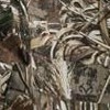 realtree max 5