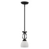 Livex Lighting Brookside 1 - Light Pendant in  Black - 4 of 4
