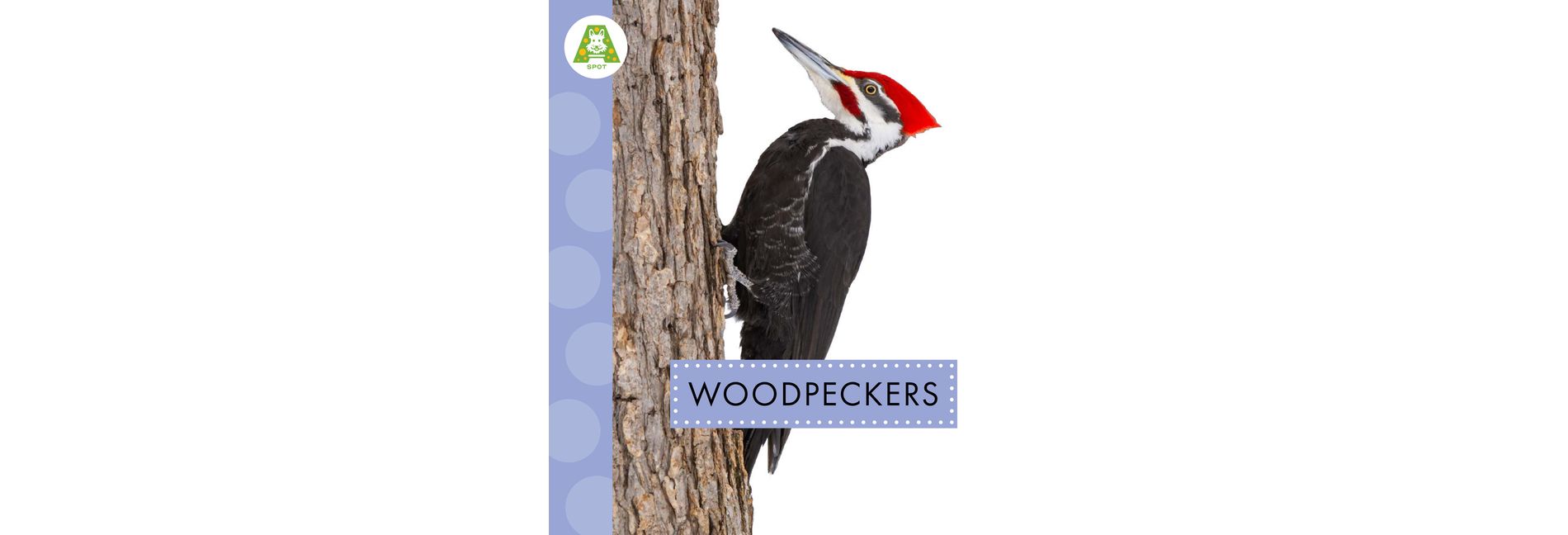 Woodpeckers - (Spot Backyard Birds) by  Anastasia Suen (Paperback)