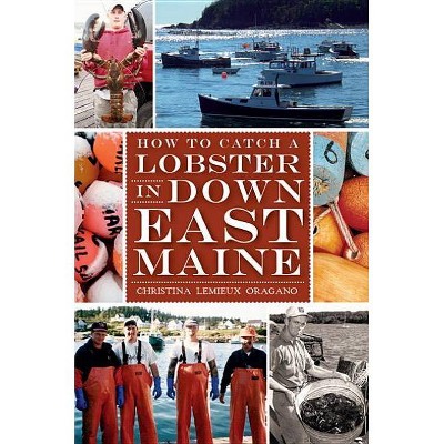 How to Catch a Lobster in Down East Maine - (American Palate) by  Christina LeMieux Oragano (Paperback)