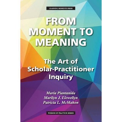 From Moment to Meaning - (Wisdom of Practice) by  Maria Piantanida & Marilyn J Llewellyn & Patricia L McMahon (Paperback)