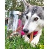 Amici Pet Maxwell Paw Large Glass Storage Canister, 56 oz. , Clear w/ Silver Lid - 4 of 4