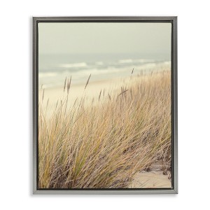 Stupell Industries Beach Dreams Sea Grass Floating Frame Canvas Art - 1 of 4