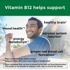 Nature Made Adult Energy B12 Gummies - 60ct - 4 of 4
