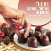 Queen Anne Chocolate Covered Cordial Cherries Variety Pack | 6.6 oz (Pack of 5) | 10 Piece Boxes | Holiday Candy - 4 of 4