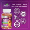 CoQ10 100mg Gummies - 3X Better Absorption, Antioxidant for Heart Health Support & Energy Production, Ultra Coenzyme Q10 Vitamins - 60 Gummies - 3 of 4