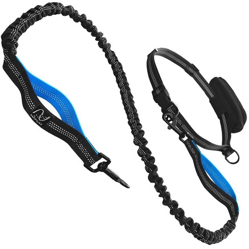 Nord fisk hovedvej Happilax 5.2 Ft Elastic And Reflective Nylon Dog Leash With Belly Strap For  Jogging - Black & Blue : Target