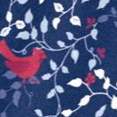 evening blue cardinals