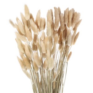Unique Bargains Decorative Natural Dried Floral Bunny Tail Artificial Plants 120 Pcs - 1 of 4