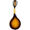 Luna Trinity A-Style Mandolin - 2 of 4