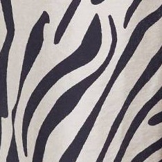 Beige Zebra Print