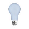 GE 2pk Reveal LED 40W Frosted A19 - 2 of 4