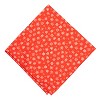 The Worthy Dog Let it Snow Bandana Accessory - 2 of 3