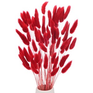 Unique Bargains Artificial Dried Flowers Realistic Look Pampas Bunny Tails Grass 17 Inch - 1 of 4