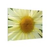 Trademark Fine Art Leslie Montgomery Mellow Yellow Wood Slat Art - 2 of 4
