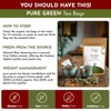 Natural Way Pure Green Tea Bags | Caffeine-Free Pyramid Tea Bags,100% Natural Ingredients, ECO Conscious Packaging, 9 Oz (Pack of 100) - 3 of 4