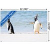 Trends International The Comedy Wildlife Photography Awards: Jennifer Hadley - Talk To The Fin Unframed Wall Poster Prints - 3 of 4