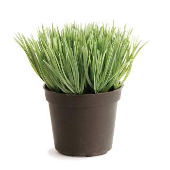 Plum & Post Mini Potted Grass Gray/Green