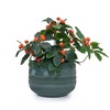 NAYSAYE Planter Set of 4 Ceramic Flowerpot Sleek Glossy Design for Indoor Outdoor Garden, Navy Blue, 14.38"*14.38"*10.04" - 4 of 4