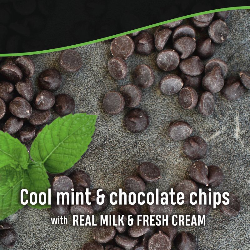 Mint Chocolate Chip Ice Cream - 48oz - Breyers, 5 of 11