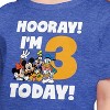 Girls' - Disney - Hooray I'm 3 Today Short Sleeve Graphic T-Shirt - 2 of 4