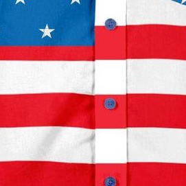 blue flag