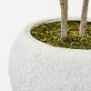 Moringa Artificial Tree Green - Threshold™ designed with Studio McGee - image 4 of 4