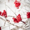 Sullivans 5' Berry & Birch Twig Artificial Garland, Brown - 2 of 4