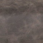 gray without back pull ring