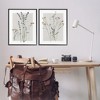Stupell Industries Delicate Wildflower Herb Sprigs 2pc Framed Giclee Art Set - 2 of 4