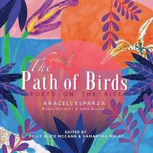 The Path of Birds - Large Print by  Araceli Esparza (Paperback) - 1 of 1